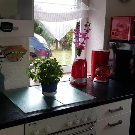 Kuehnhaide Im Erzgebirge Holiday home