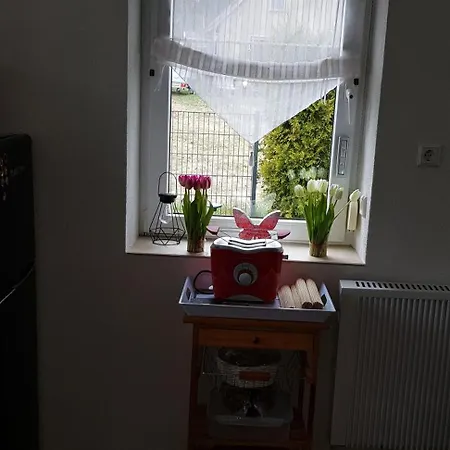Holiday home Kuehnhaide Im Erzgebirge *